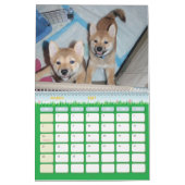 2010 Het Jaar van de Shiba Kalender (Mar 2027)