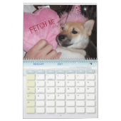 2010 Het Jaar van de Shiba Kalender (Feb 2027)