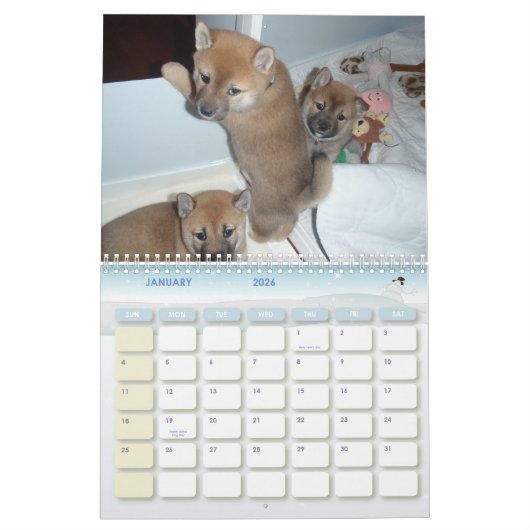 2010 Het Jaar van de Shiba Kalender (Jan 2026)