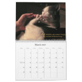 2010 met Guru Belly Kalender (Mar 2027)