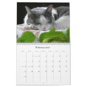 2010 met Guru Belly Kalender (Feb 2027)