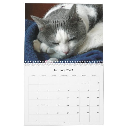 2010 met Guru Belly Kalender (Jan 2027)