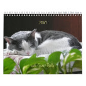 2010 met Guru Belly Kalender (Hoes)