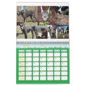 2010 PDX Danes Agenda Kalender (Mar 2027)