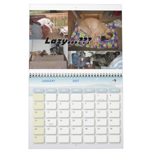 2010 PDX Danes Agenda Kalender (Jan 2027)