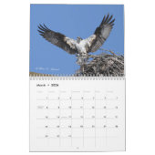2010 Raptorkalender Kalender (Mar 2026)