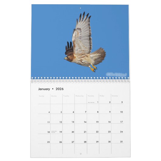 2010 Raptorkalender Kalender (Jan 2026)