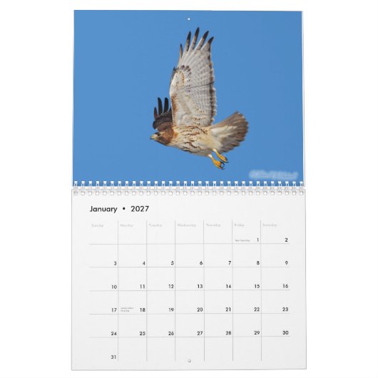 2010 Raptorkalender Kalender (Jan 2027)