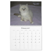 2010 Siberische kat en Kittens Agenda 2 Kalender (Feb 2027)