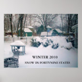 2010, SNEEUW IN FORTYNINE STATEN poster (Voorkant)