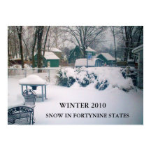 2010, SNEEUW IN FORTYNINE STATEN poster