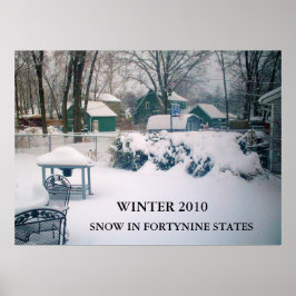 2010, SNEEUW IN FORTYNINE STATEN poster