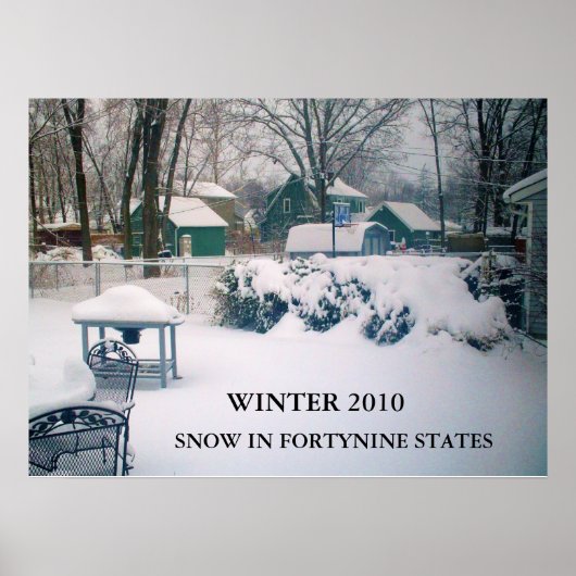 2010, SNEEUW IN FORTYNINE STATEN poster (Voorkant)