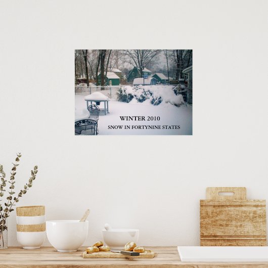 2010, SNEEUW IN FORTYNINE STATEN poster (Keuken)