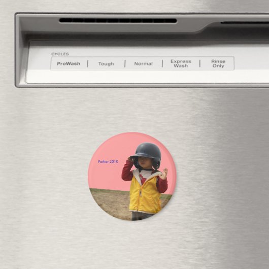 2010 Softball Magneet (Insitu (Vaatwasser))