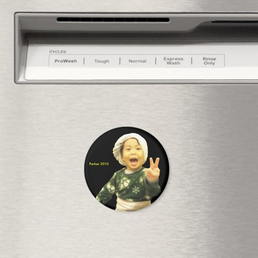 2010 Tulband Magneet (Insitu (Vaatwasser))