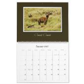 2010 wild Afrika safari kalenders Kalender (Jan 2027)
