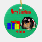 2010 wpb. keramisch ornament (Voorkant)