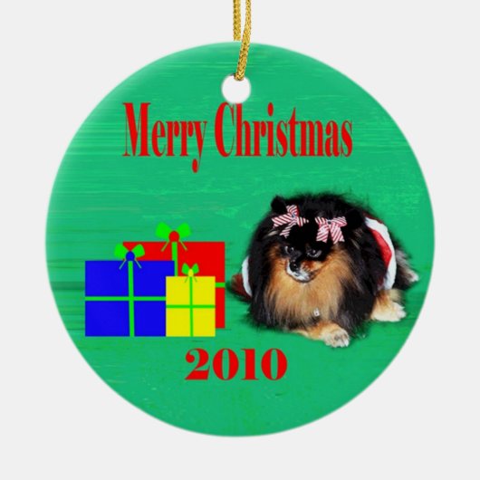 2010 wpb. keramisch ornament (Voorkant)