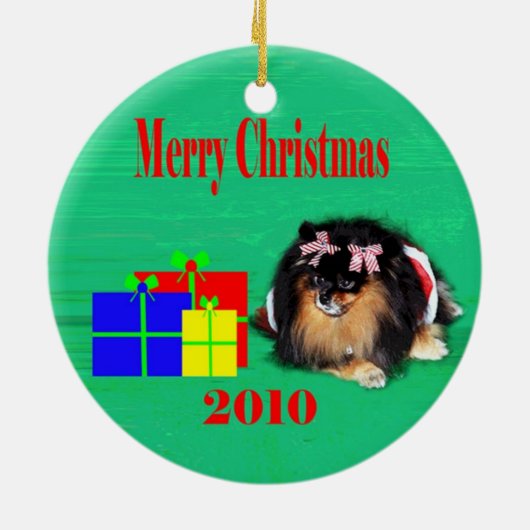 2010 wpb. keramisch ornament (Achterkant)