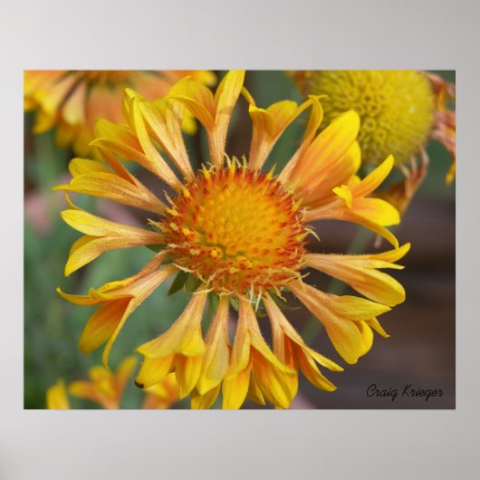 2010f_may, Craig Krieger Poster (Voorkant)