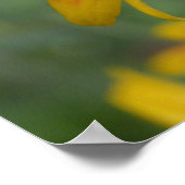 2010f_may, Craig Krieger Poster (Hoek)