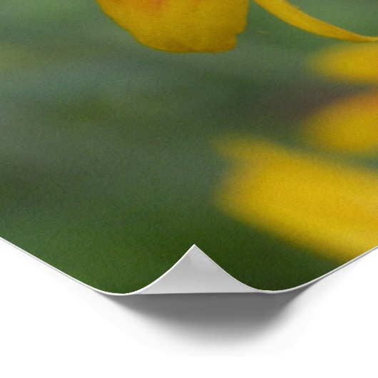 2010f_may, Craig Krieger Poster (Hoek)