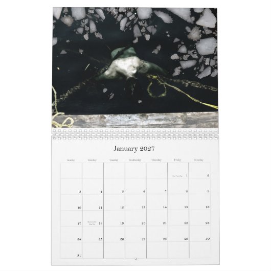 2011, 12 maanden storende afbeeldingen door Y... Kalender (Jan 2027)