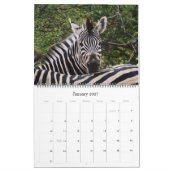 2011 Afrikaanse de dieren Reusachtige grootte van Kalender (Jan 2027)