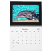 2011 Agenda-dolfijnfotografie Kalender (Feb 2027)