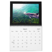 2011 Agenda-dolfijnfotografie Kalender (Mar 2027)