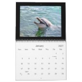 2011 Agenda-dolfijnfotografie Kalender (Jan 2027)