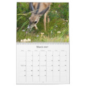 2011 Agenda voor fotografie Kalender (Mar 2027)