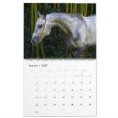 2011 Akhal-Teke Paarden Kalender (Jan 2027)