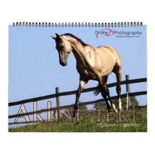 2011 Akhal-Teke Paarden Kalender