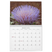2011 Artichoke Photo Calendar Kalender (Mar 2026)