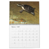 2011 Carolina Wildlife Agenda Kalender (Feb 2027)
