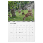 2011 Carolina Wildlife Agenda Kalender (Mar 2027)