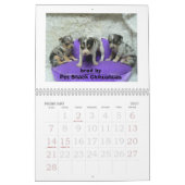 2011 Chihuahua Calander Kalender (Feb 2027)