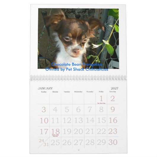 2011 Chihuahua Calander Kalender (Jan 2027)
