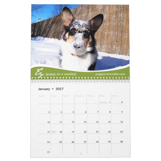2011 Corgis (met blogs) Wall Calendar Kalender (Jan 2027)