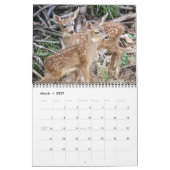 2011 DavesGarden.com Agenda Kalender (Mar 2027)