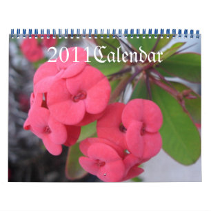 2011 de Kalender van bloemen,