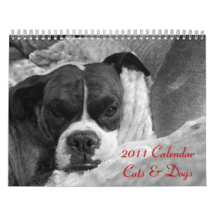 2011 de Kalender van het Huisdier: Katten & Honden