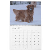 2011 - Doggie Paws Pinup Calender Kalender (Jan 2027)