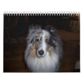 2011 Gallagher Agenda-Wheaton Kalender (Hoes)