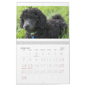 2011 KALENDER (Feb 2027)