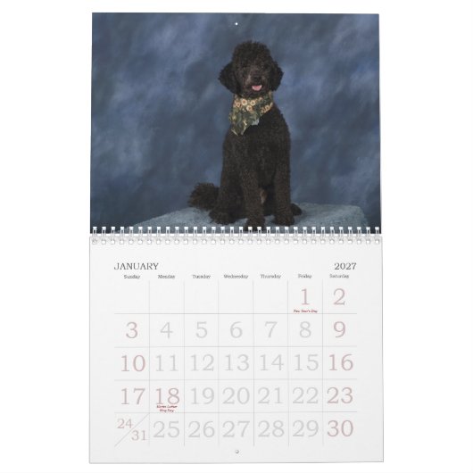 2011 KALENDER (Jan 2027)