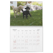 2011 KALENDER (Mar 2027)