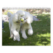 2011 KALENDER (Hoes)